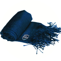Launch Event Scarf